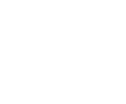 RavenSpace logo