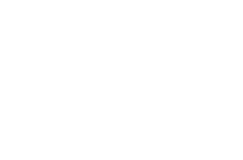 RavenSpace logo